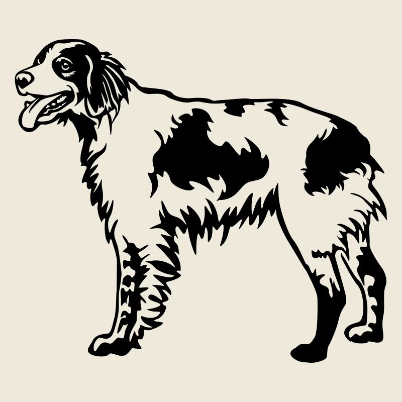 Epagneul Breton