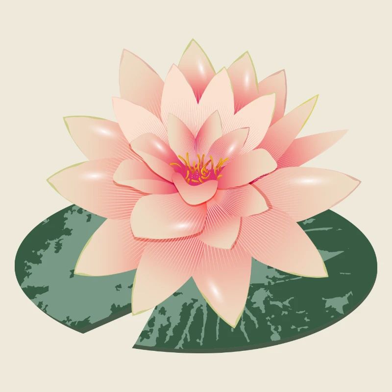 Beau nénuphar avec pétale de nénuphar vert