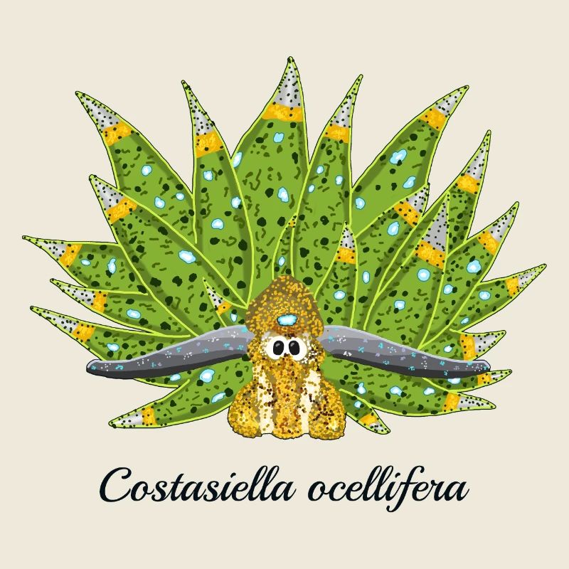 Escargot De Mer Mignon, Feuille De Mouton, Dessin