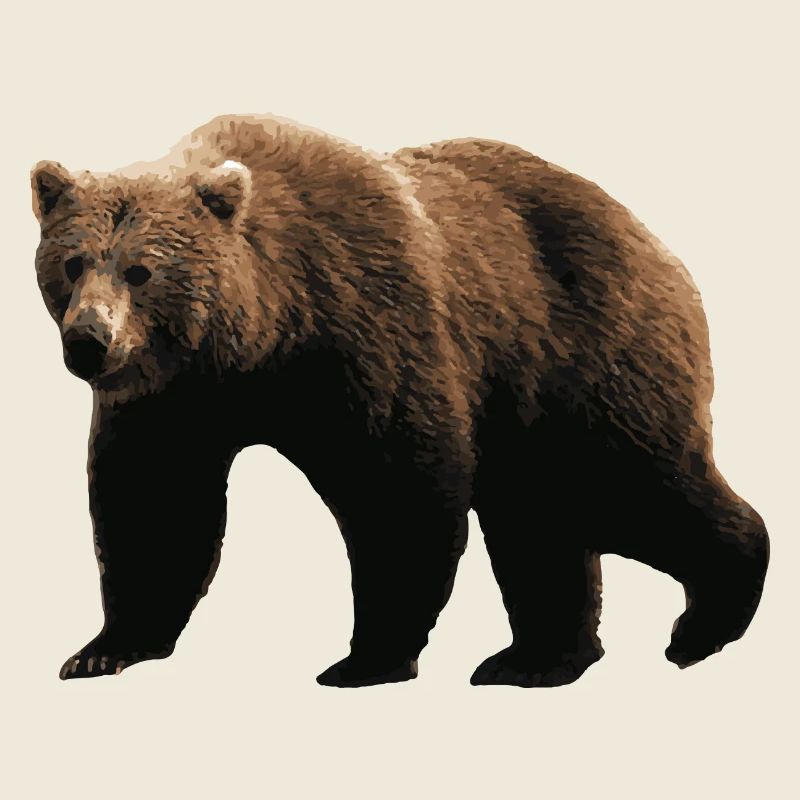 Brauner Bär