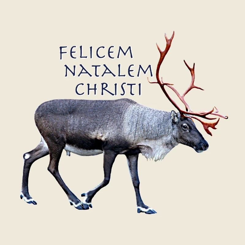 Felisem Natalem Christi