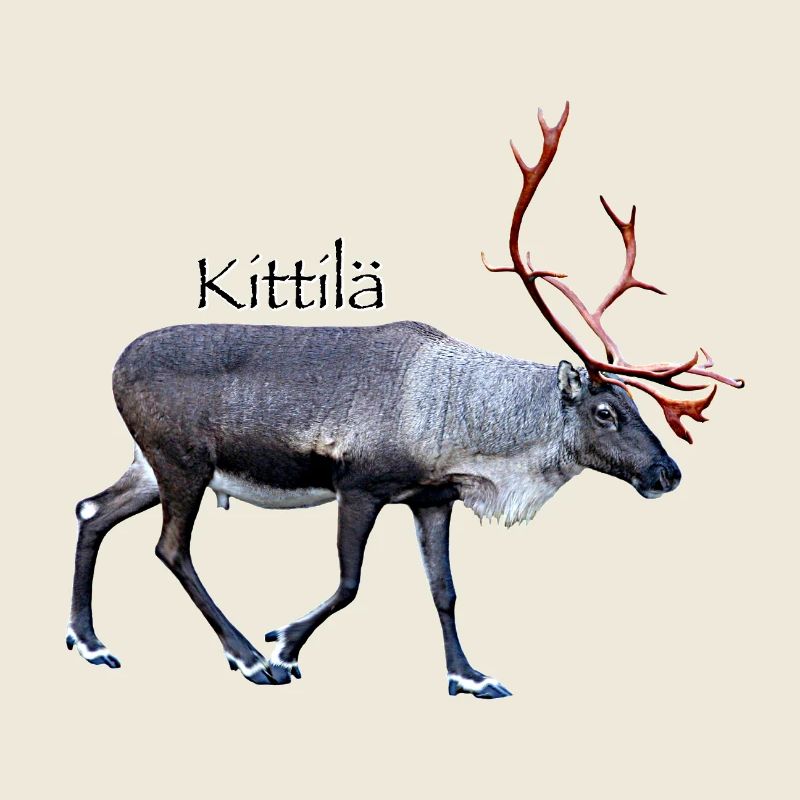 Kittila