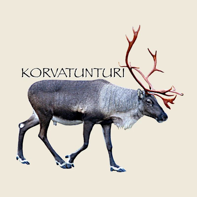 KORVATUNTURI