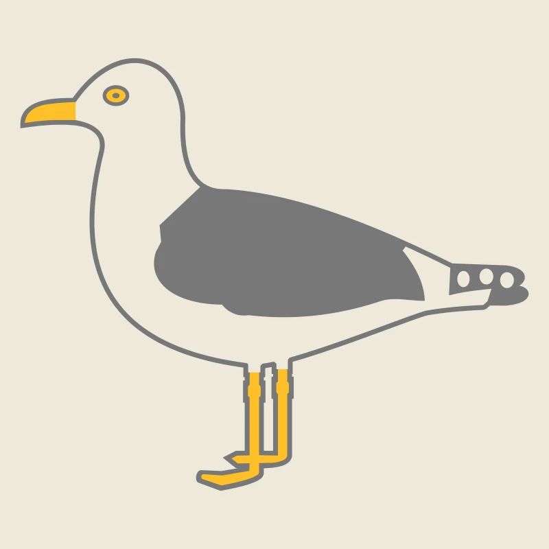 Silbermöwe