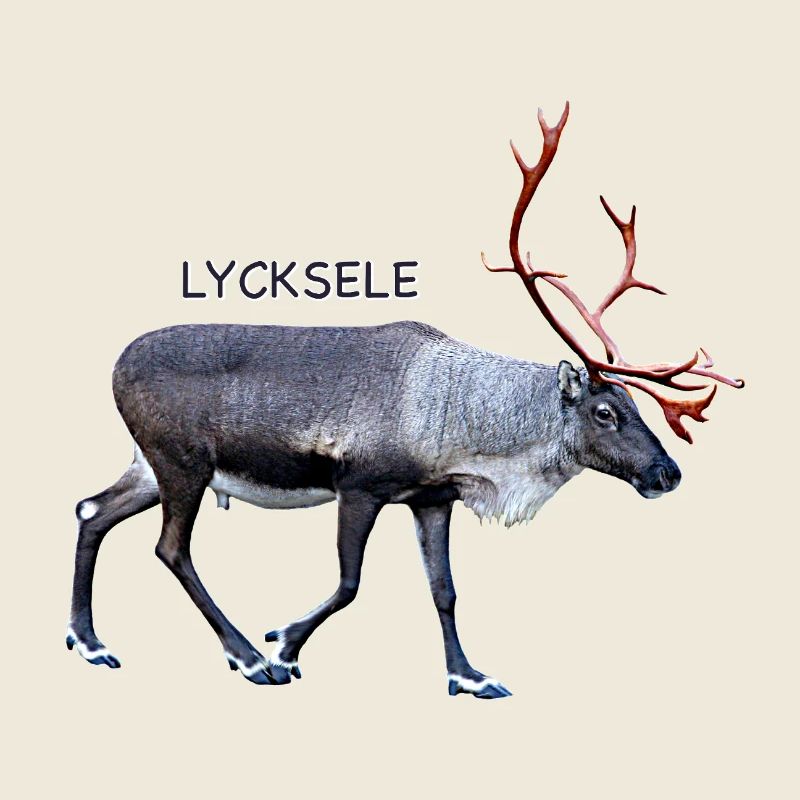 LYCKSELE