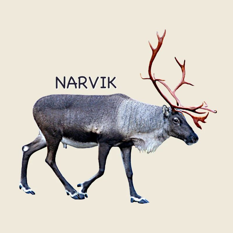 NARVIK