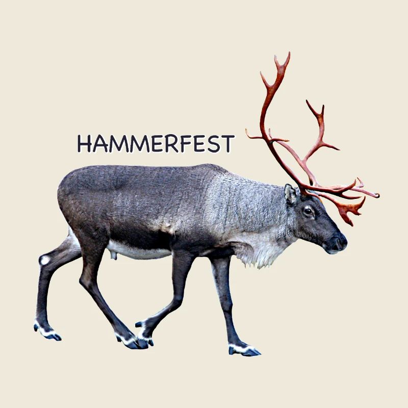 HAMMERFEST