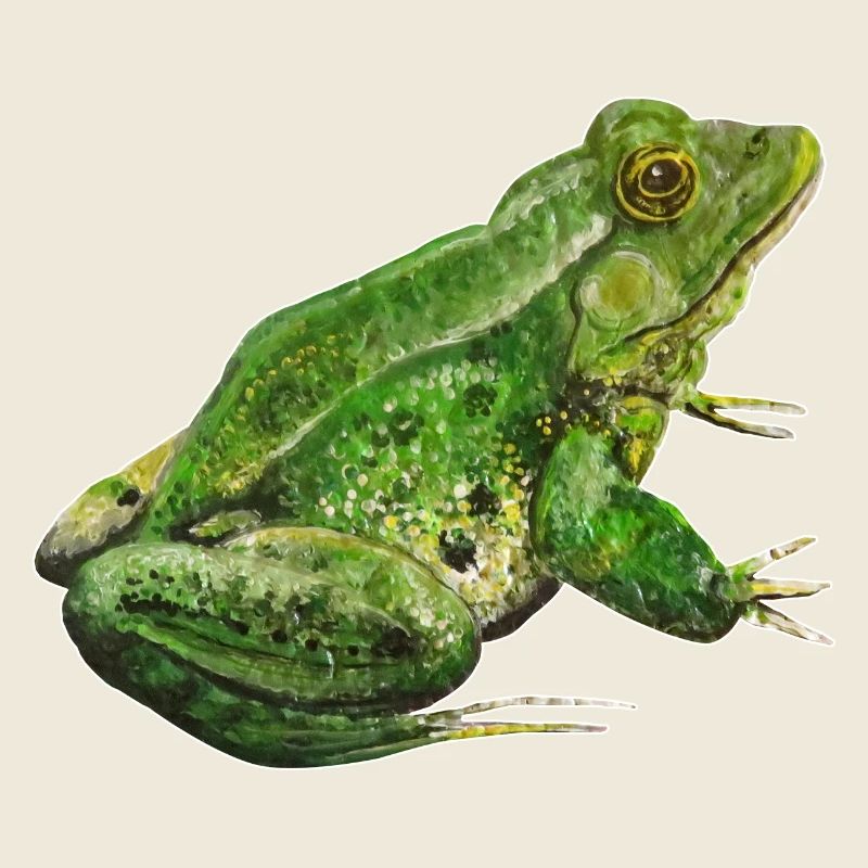 Green Frog