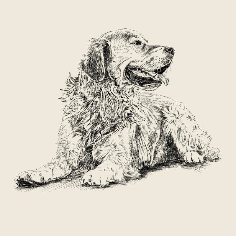Retriever