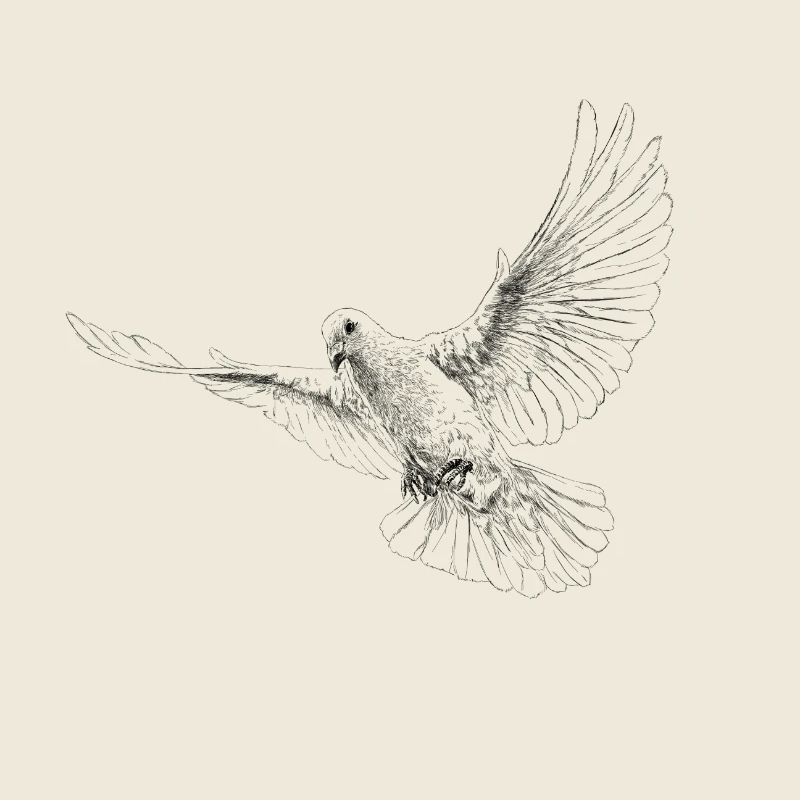 Dove