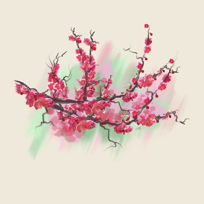 sakura