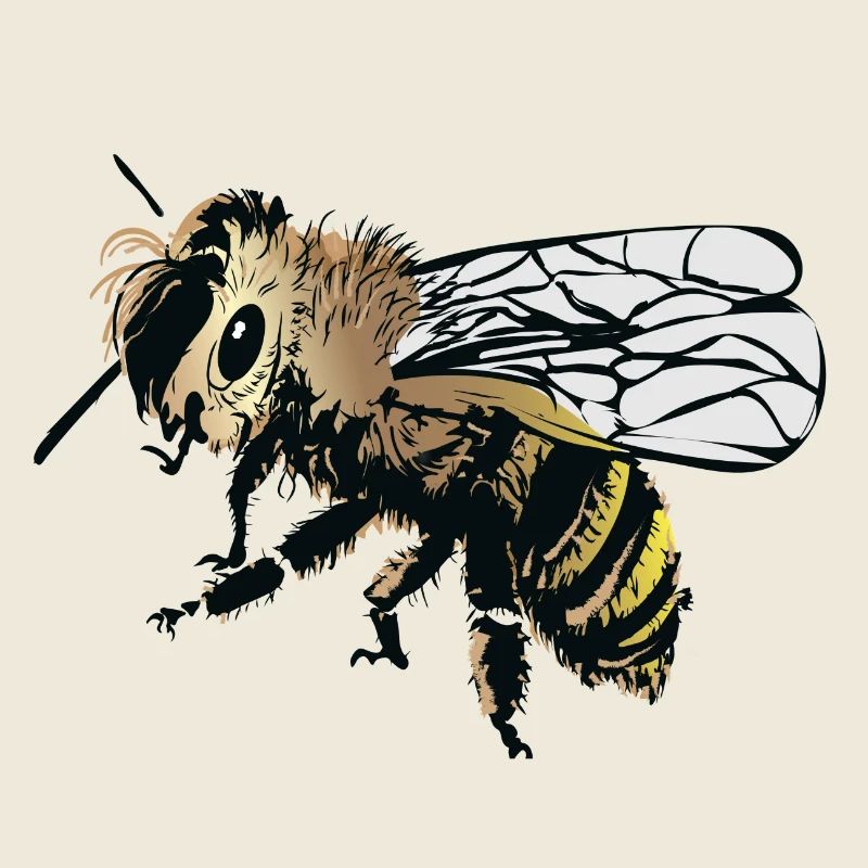 Stylized honey bee illustration