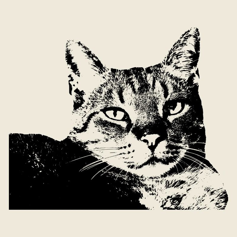 Katze Kätzchen Katzenshirt Geschenk