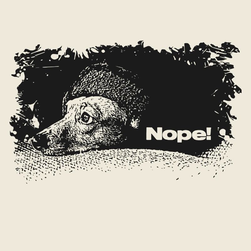 Nope - Heute nicht
