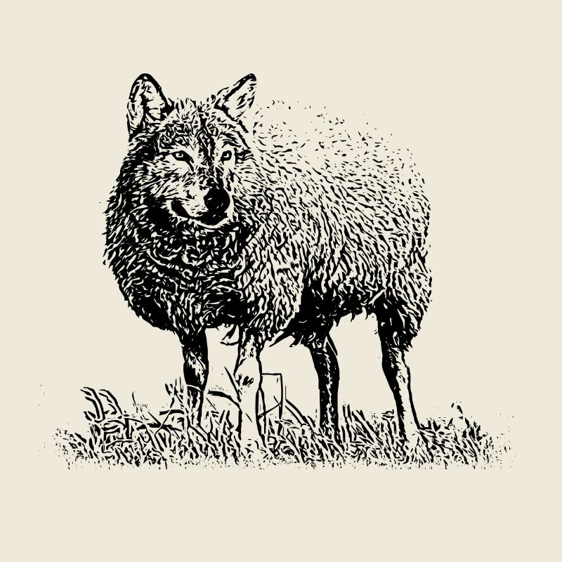 Wolf im Schafspelz