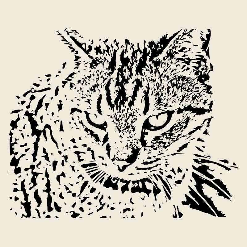 Katze schwarz Kätzchen cute