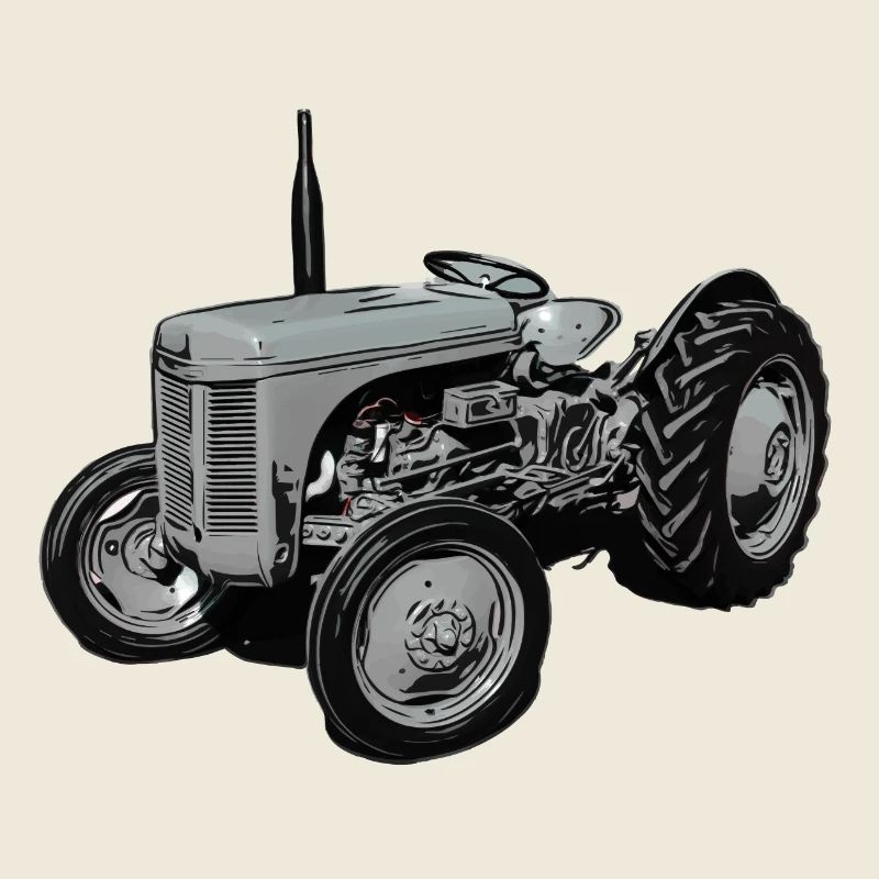 Alter Fergie TE20 Traktor