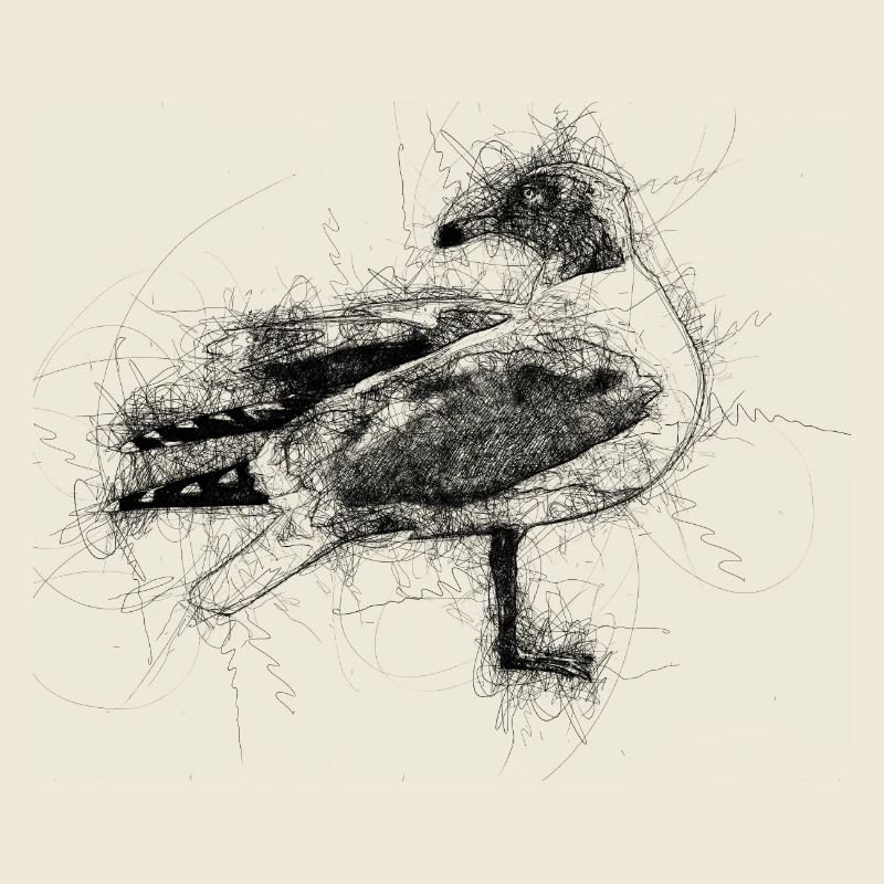 Mouette