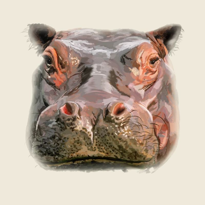 Porträt eines Hippos