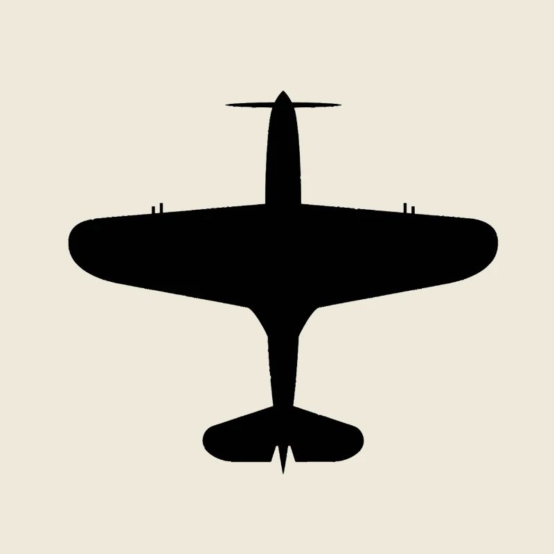 Top-Down Airplane Silhouette