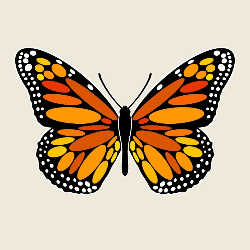 Monarch-Falter