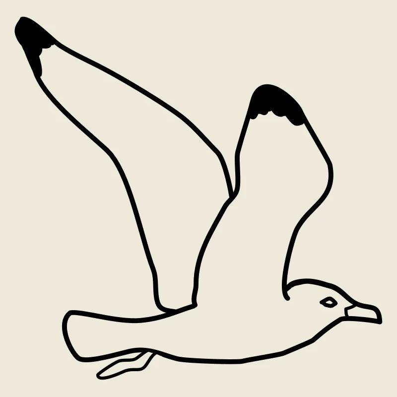 fliegende moewe vogel urlaub