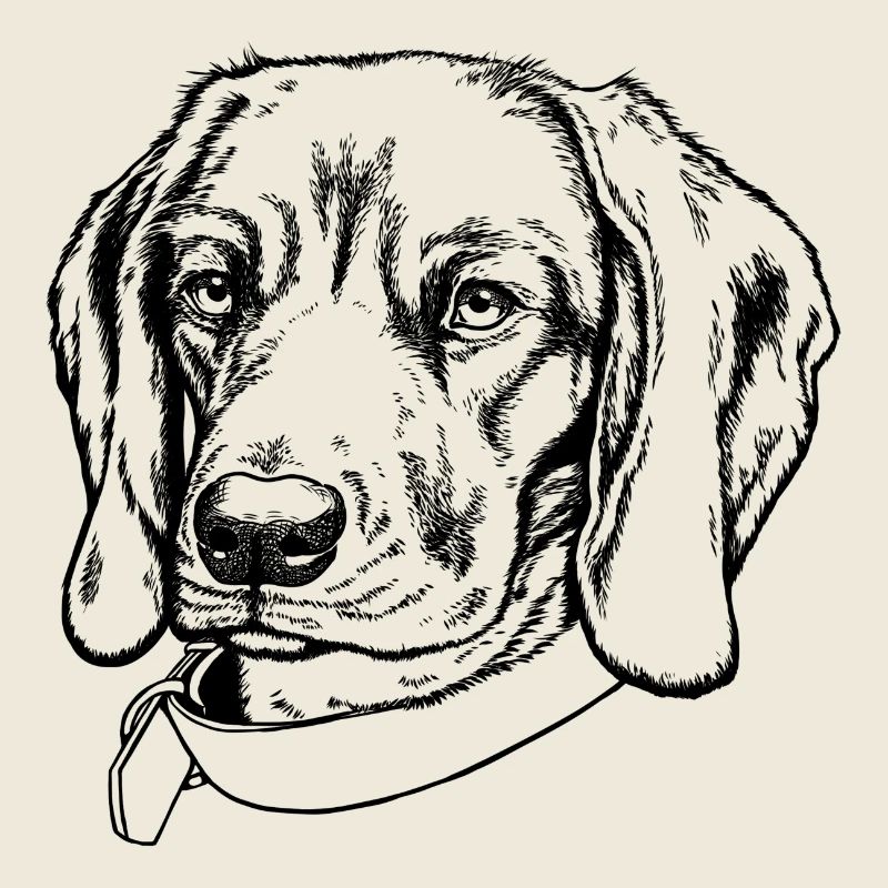 BGS Portrait black