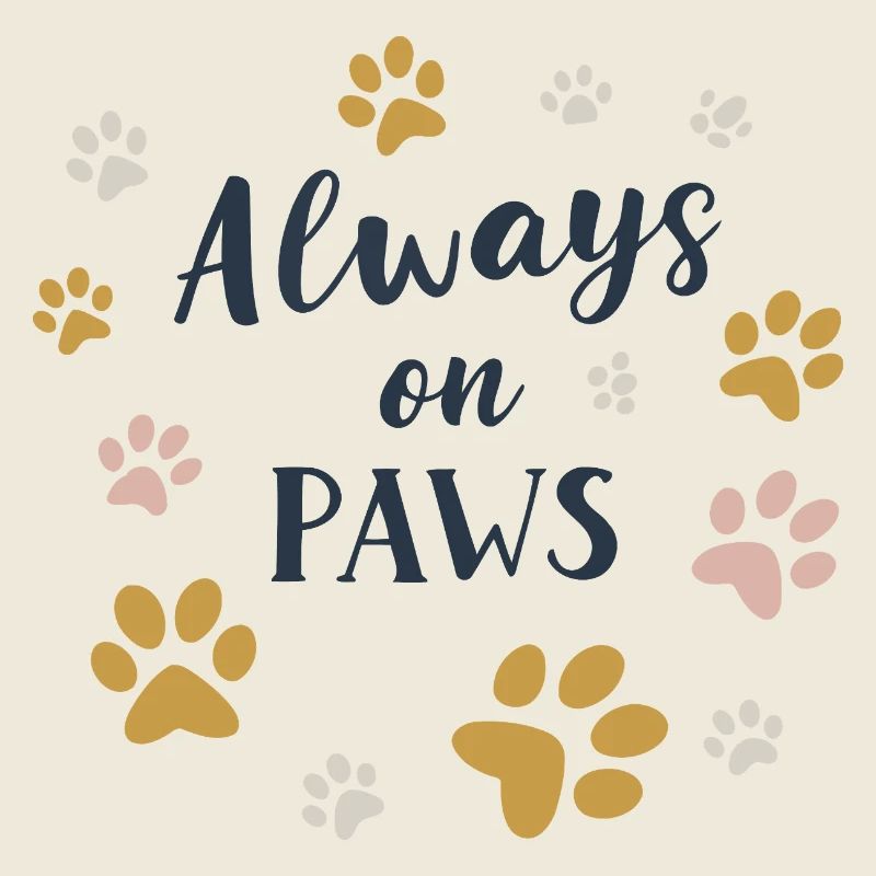 Immer auf den Pfoten