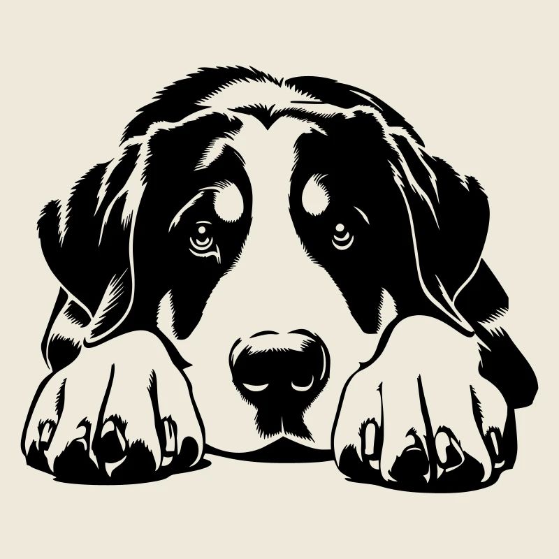 Großer Schweizer Sennenhund