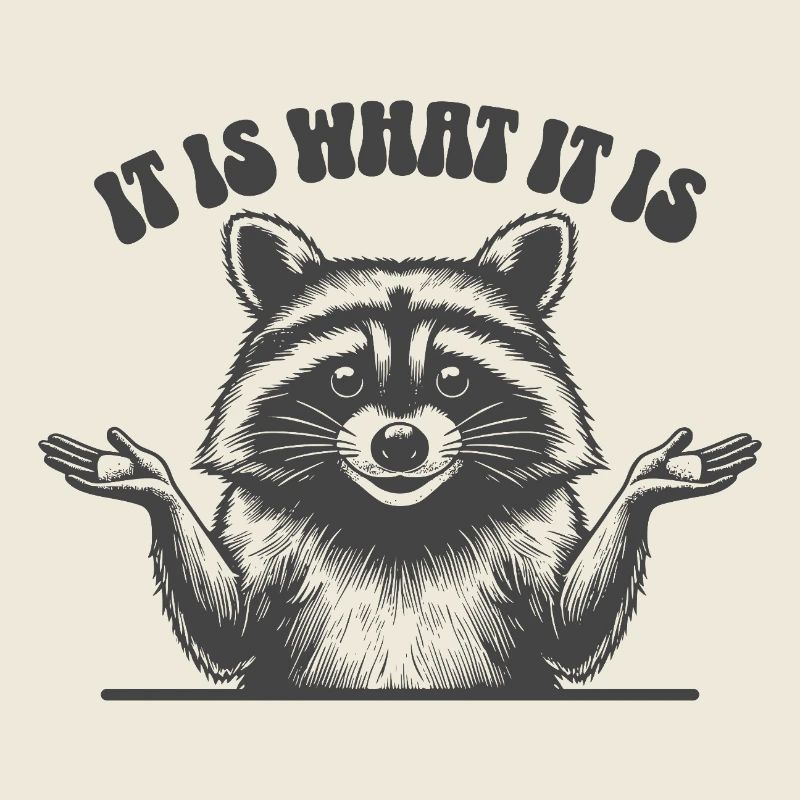 Waschbär - It is what it is