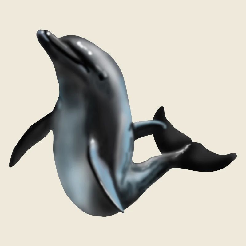 Dolphin in Night Light Silhouette Art