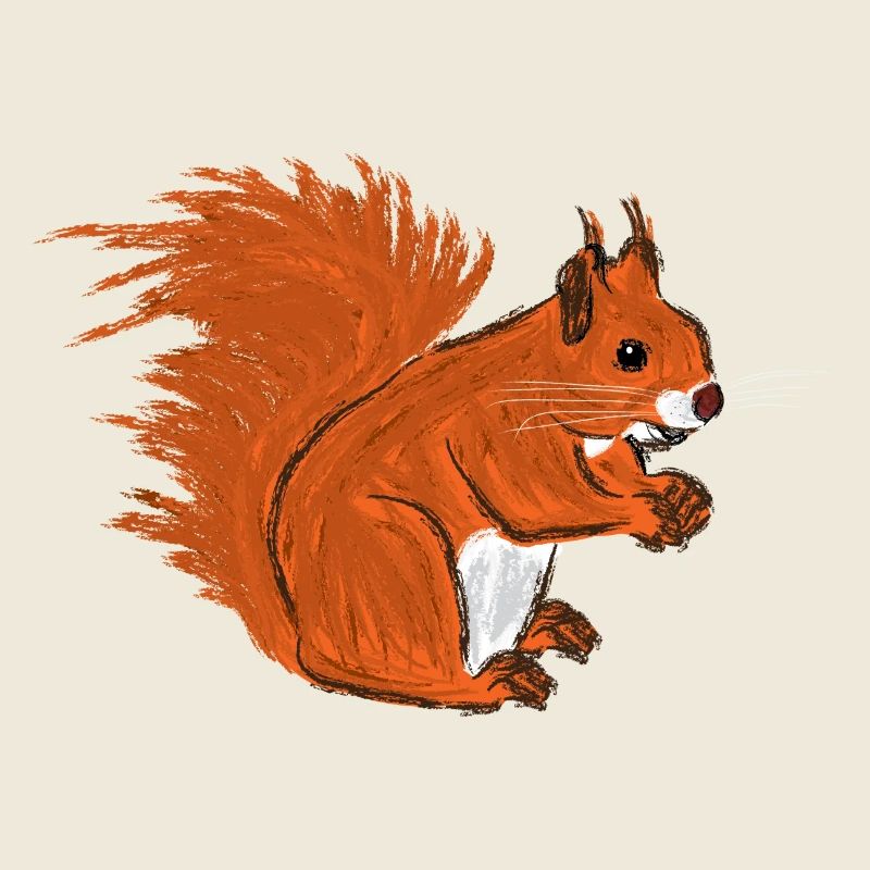 Rotes Eichhörnchen / European Red Squirrel VII