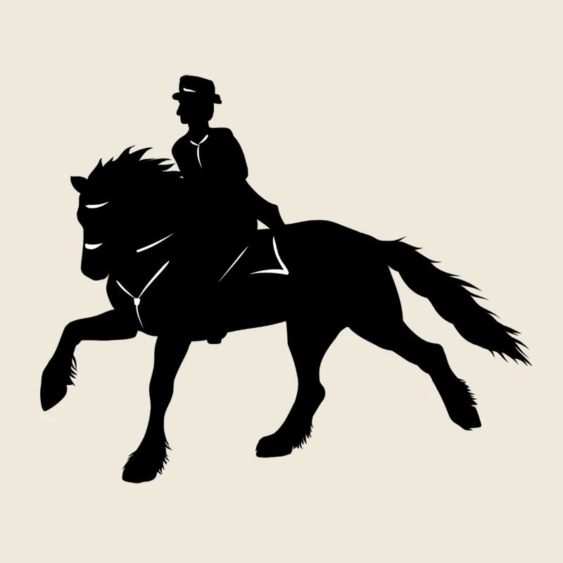 Friesen Reiter