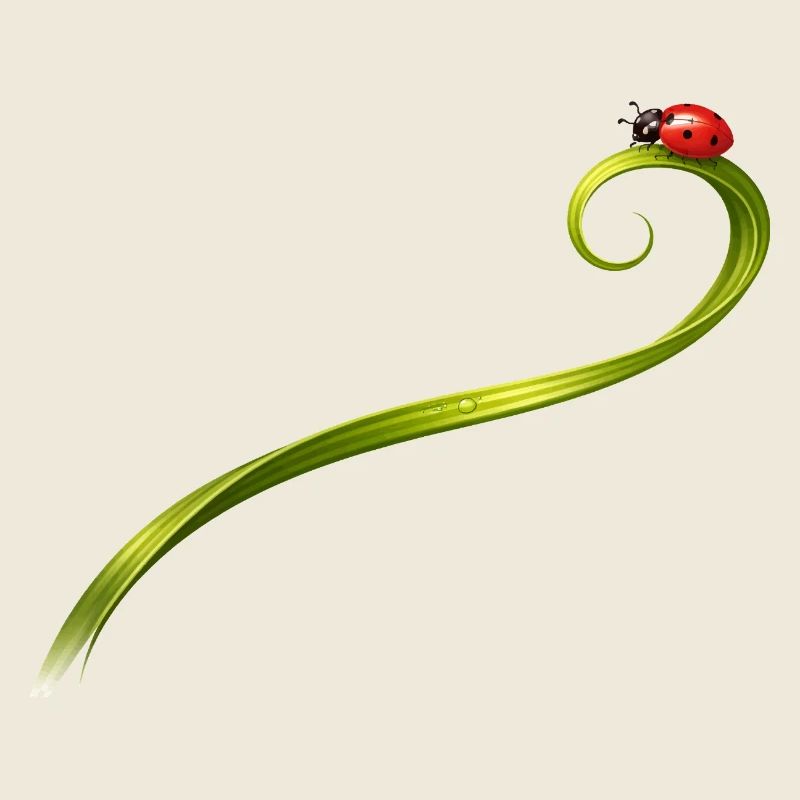 Marienkäfer auf geschwungenem Grashalm 