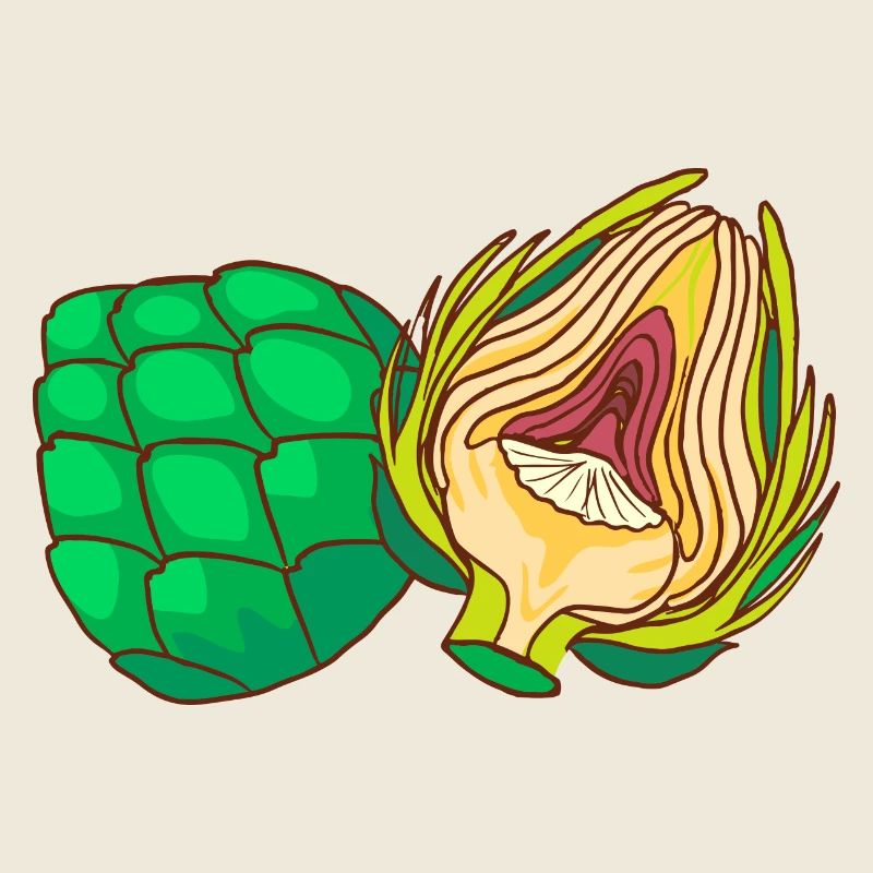 Artichauts Plantes médicinales