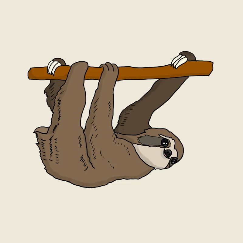Paresseux
