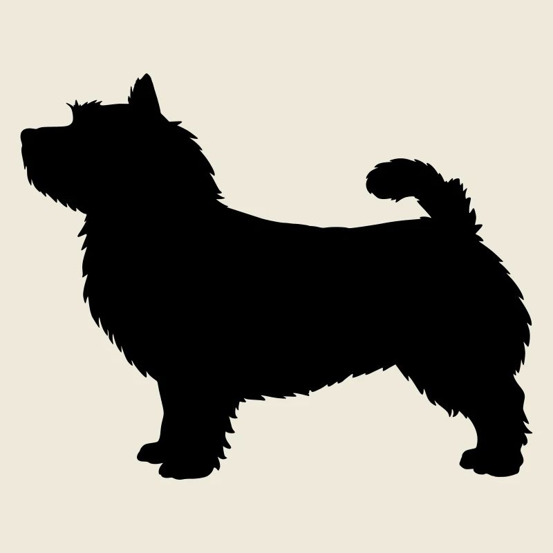 Silhouette du Norwich Terrier