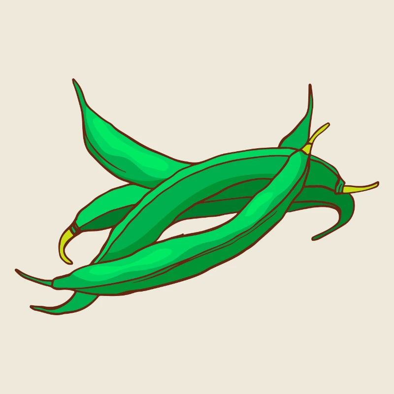 Haricots cire haricots haricots