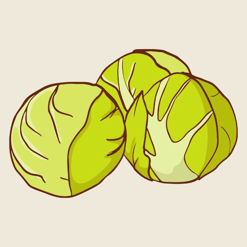 Brussels sprouts Brussels cabbage sprouts cabbage sprouts