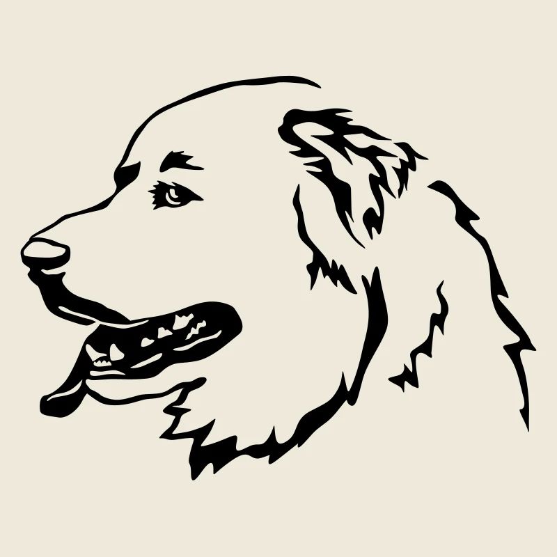 Pyrenean mountain dog head