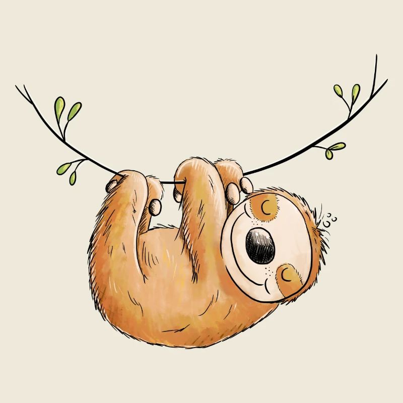 Sloth hangs out I Chilling animals I Lazy