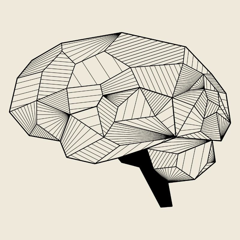 Brain
