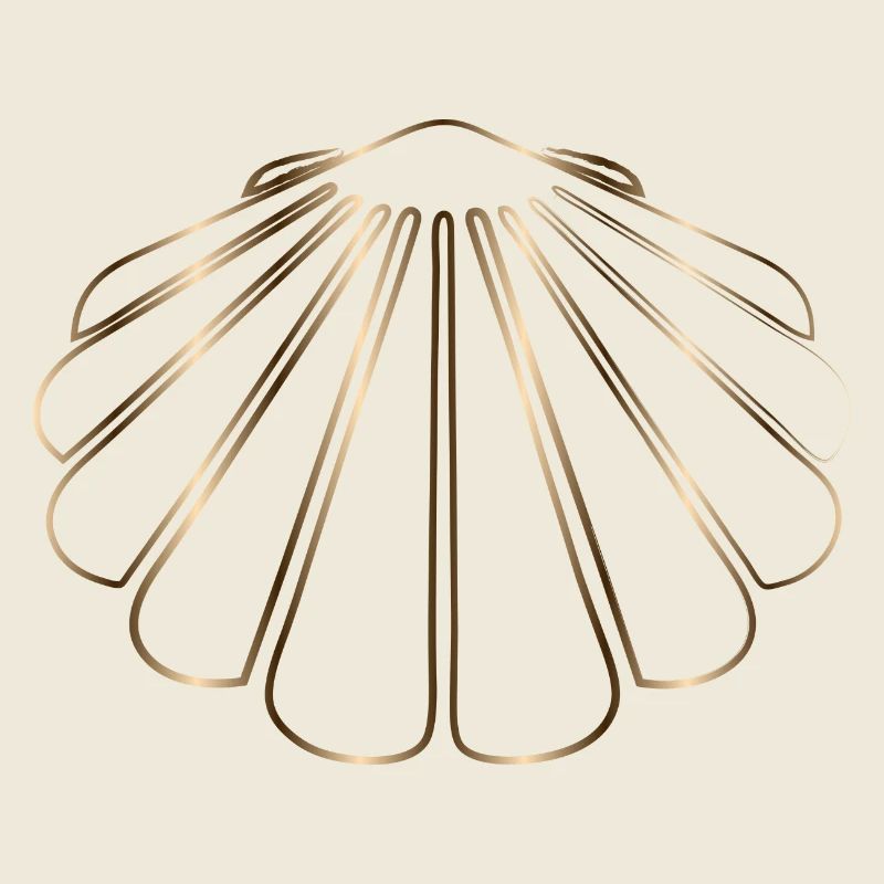 dessin chatoyant d’une coquille Saint-Jacques