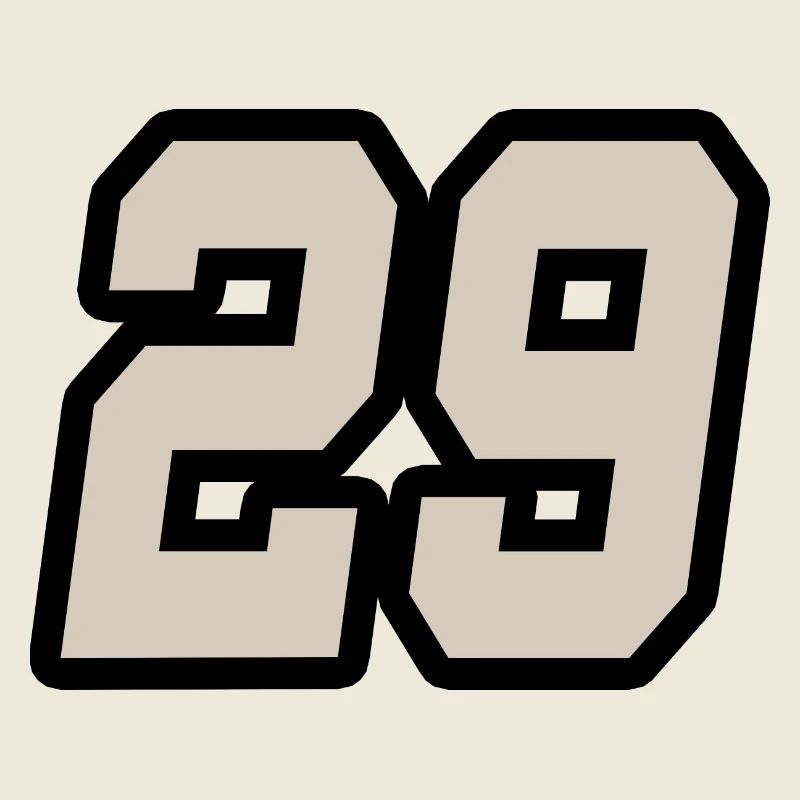 NUMMER NEUNUNDZWANZIG 29