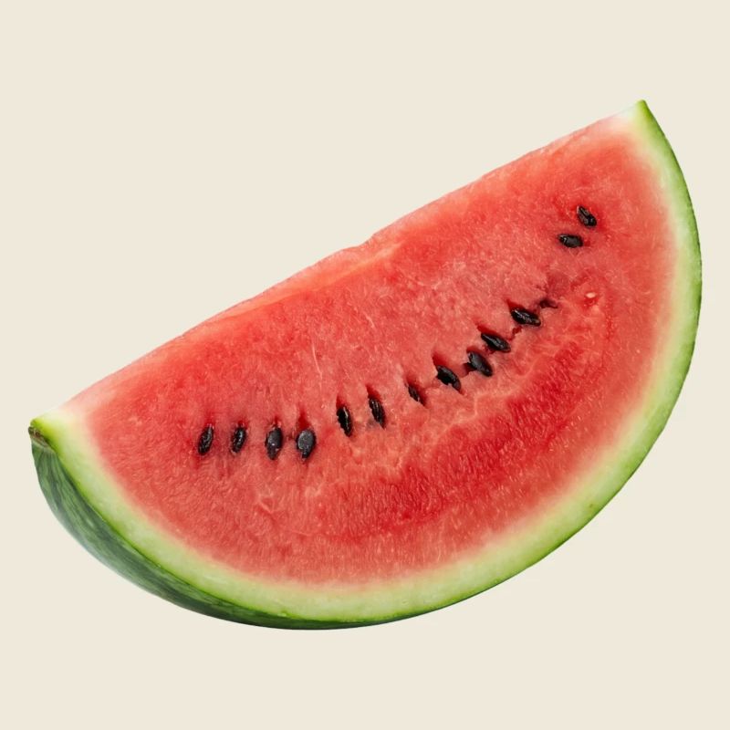 Pastèque, melon frais été