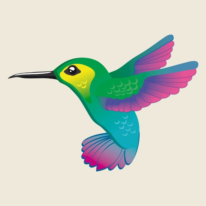 Hummingbird colorful graphique vectoriel
