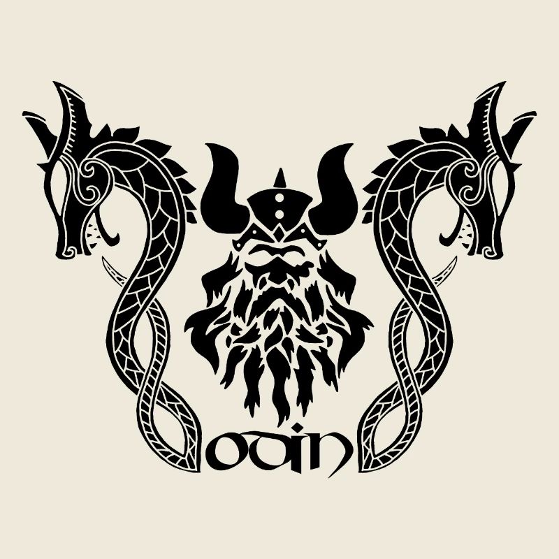 Norse god Odin and black dragons