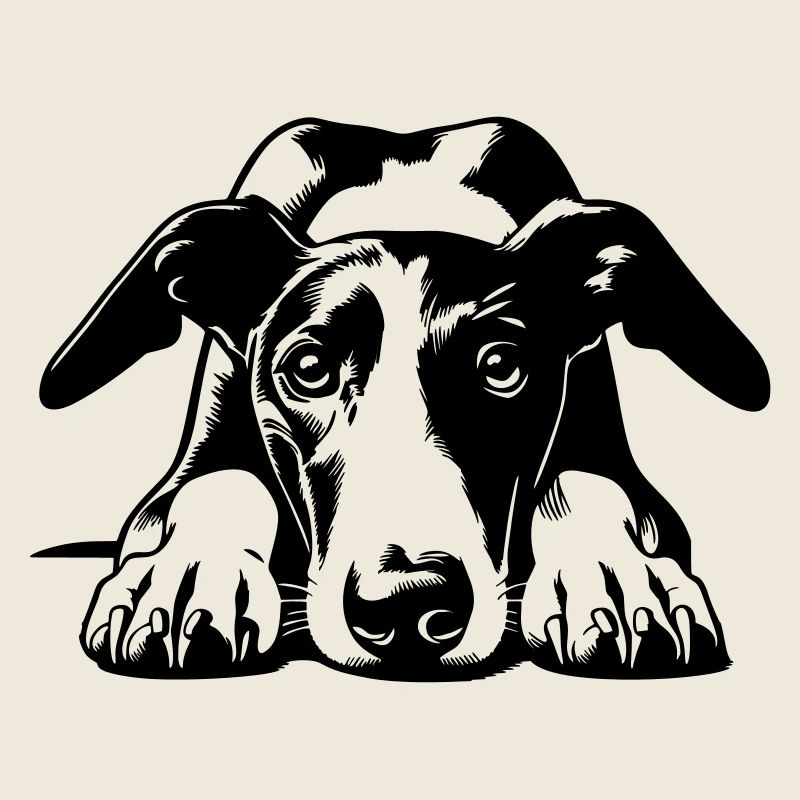 Galgo Head with Paws