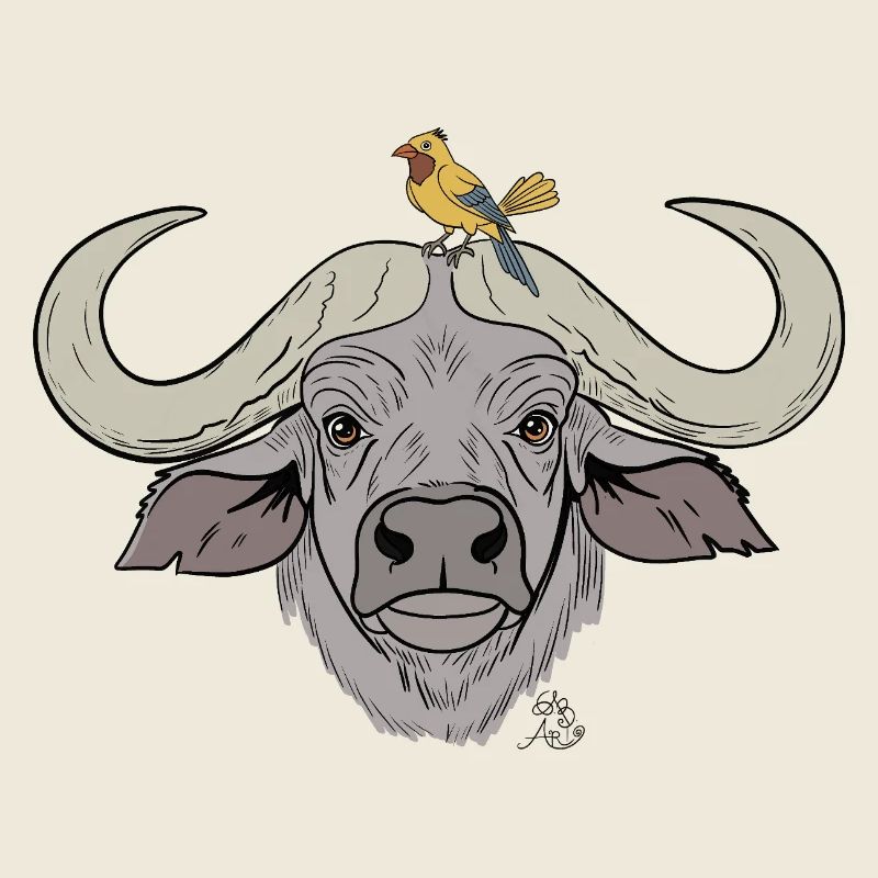 Stämmiger Büffel mit Singvogel