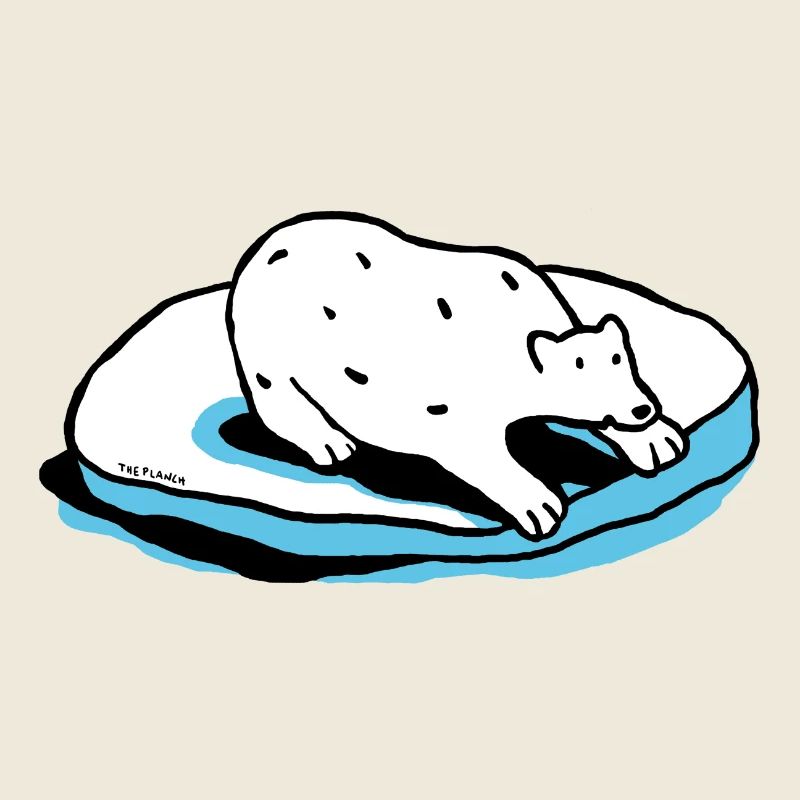 The polar bear